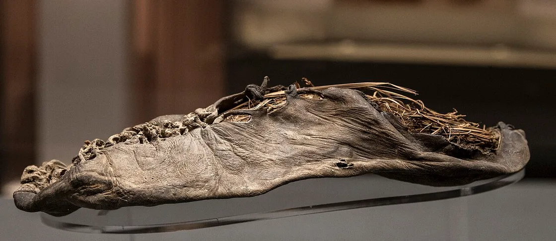 The 5,500-year-old Areni-1 leather shoe on museum display, a single piece of worn leather stuffed with dried grass