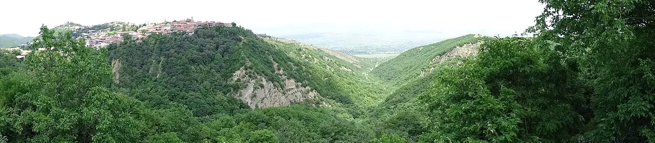 A panorama of the hilltop town of Sighnaghi with red roofs above wooded green hills and the Alazani valley beyond