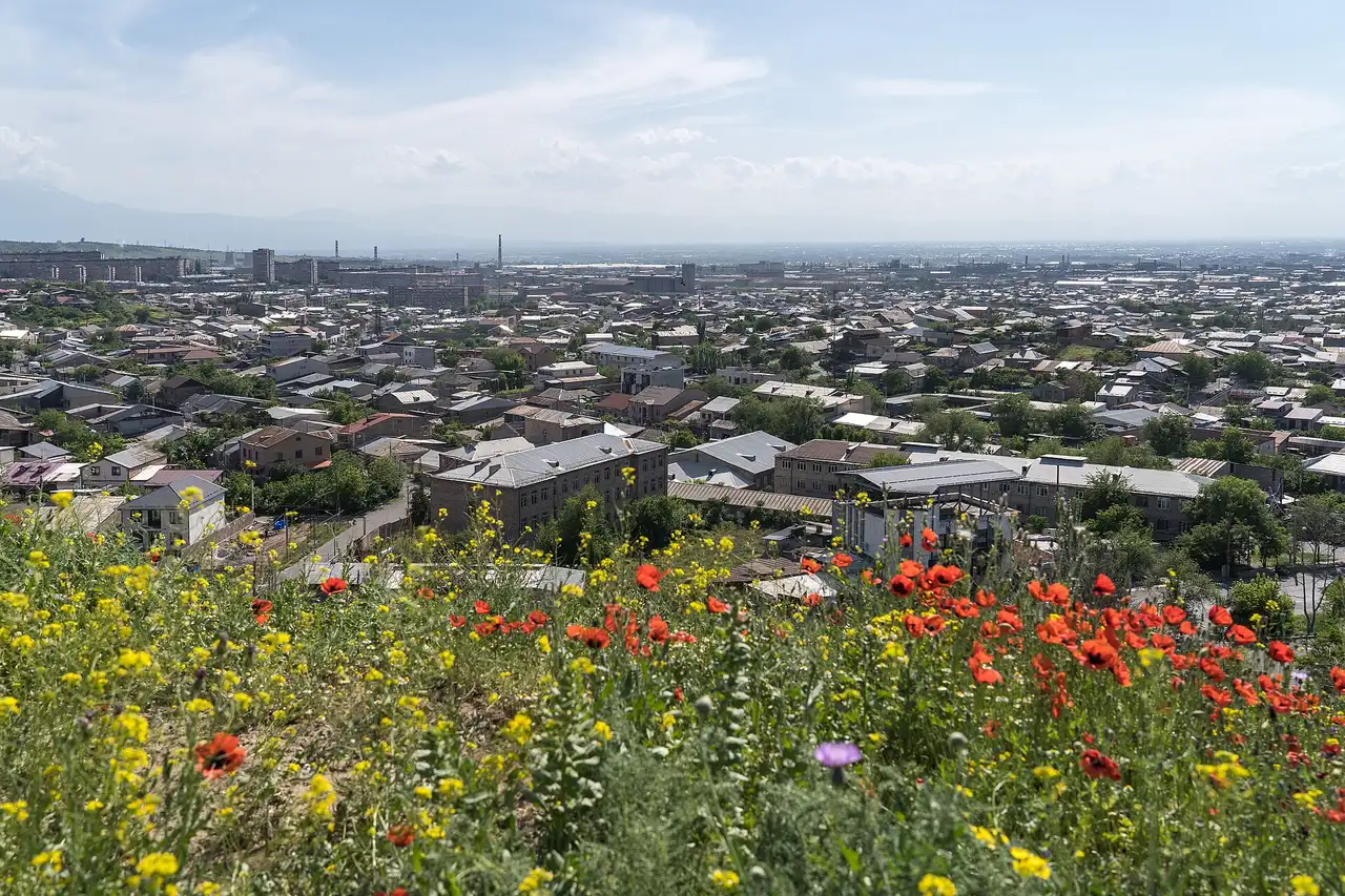 Yerevan rooftops seen over a bank of red and yellow wildflowers from the hill at Erebuni