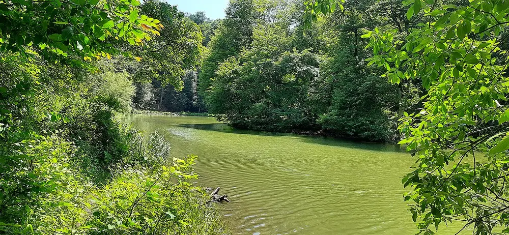 The still green water of Parz Lake framed by dense summer forest in Dilijan National Park