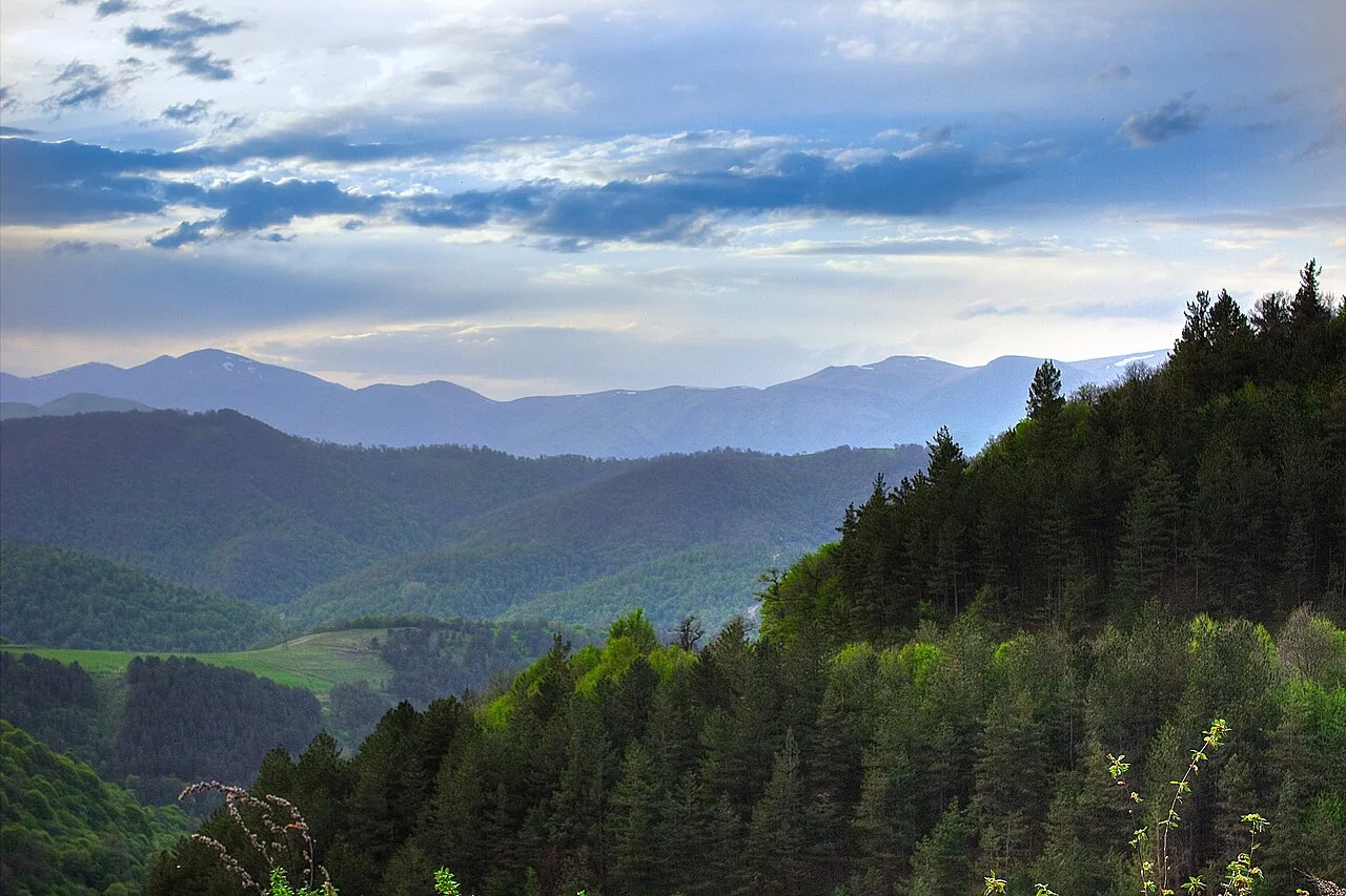 Forested green hills of Dilijan National Park under a cloudy sky in northern Armenia