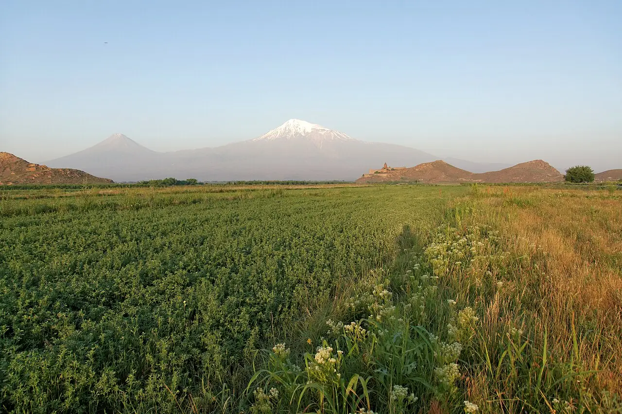 Khor Virap monastery on its hill with Mount Ararat behind it and a green field in front