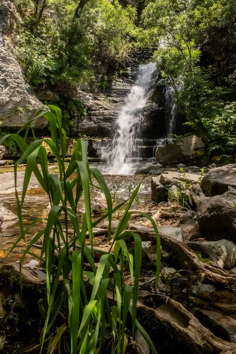 The Astghik waterfall sliding down a mossy ledge into a shallow pool surrounded by dense green foliage in the Khosrov reserve