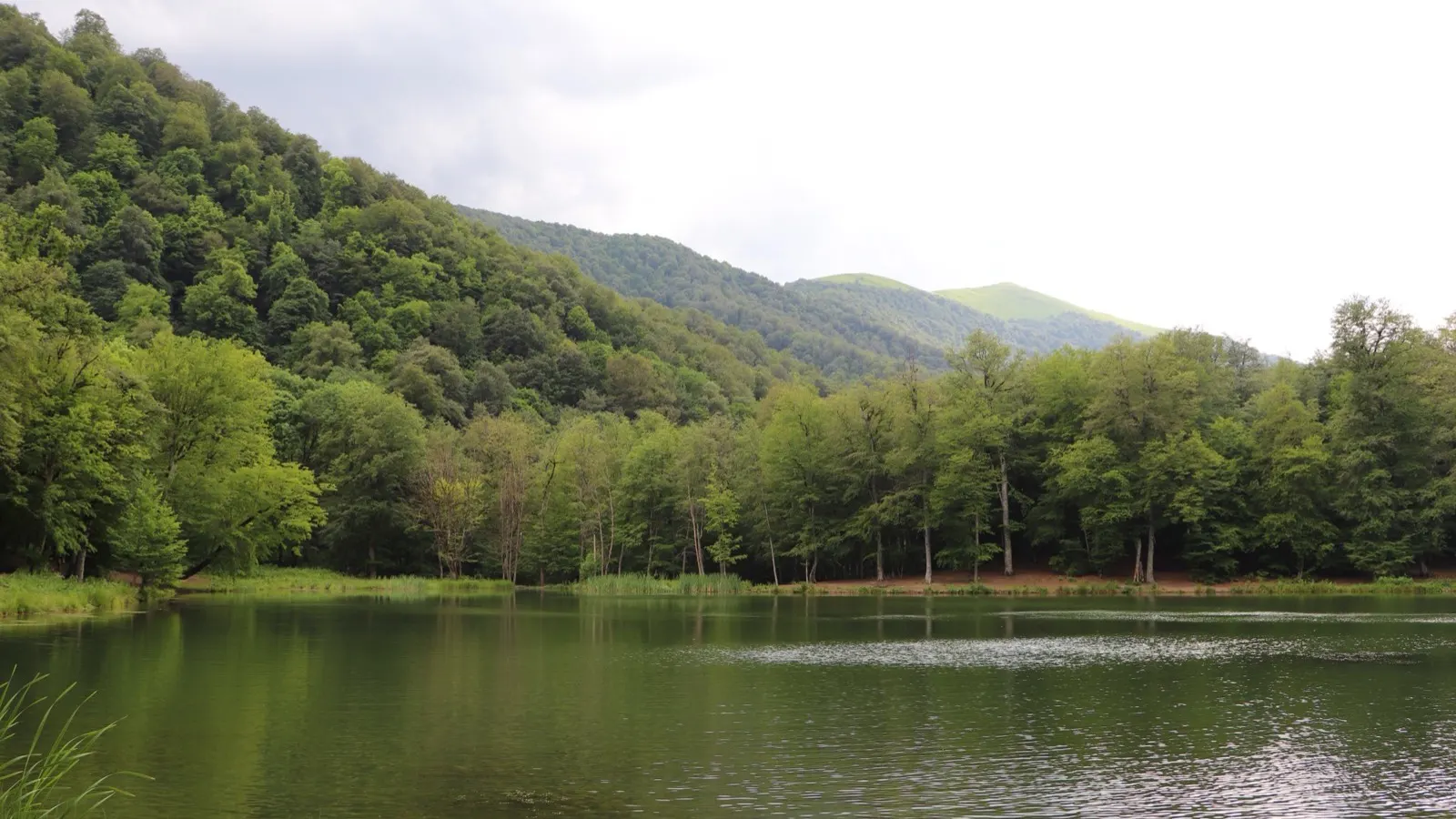 Gosh Lake framed by dense forested ridges inside Dilijan National Park