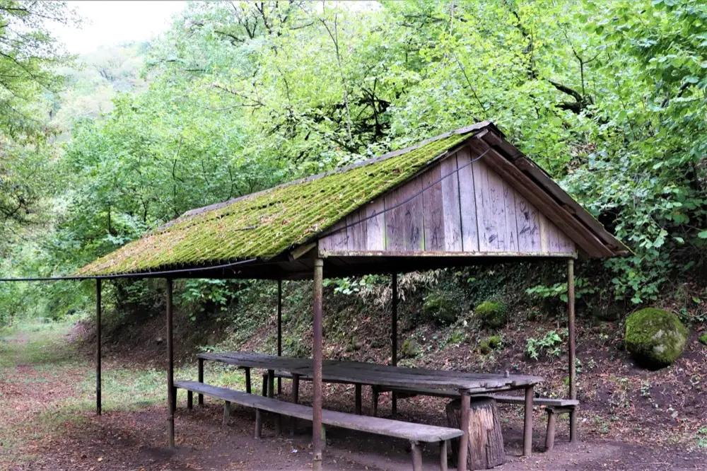 A moss-roofed wooden picnic shelter with a table and benches beside a forest trail in Dilijan National Park