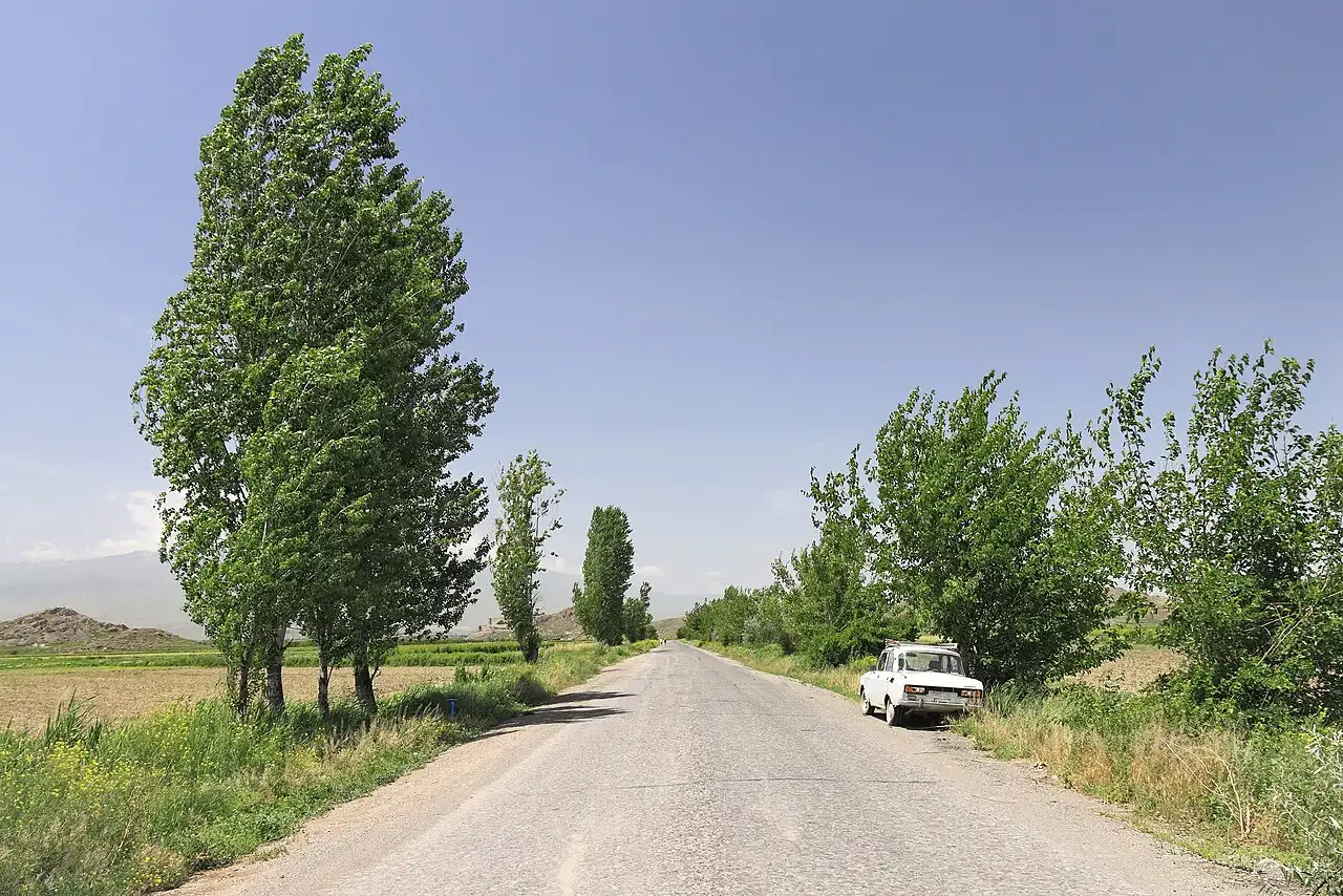 A quiet two-lane rural road lined with poplar trees running across the Ararat plain, an old Soviet-era car parked on the verge