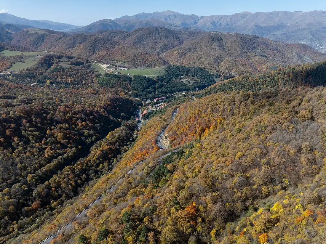 Autumn forest canopy above the M4 highway near Dilijan in northern Armenia
