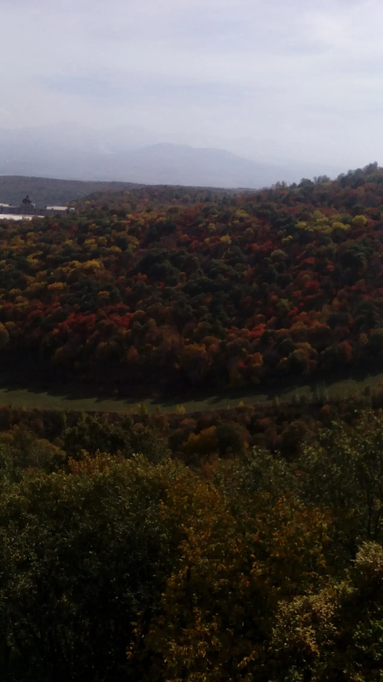 The forested slopes above Tsaghkadzor turning deep red and gold in autumn with a resort building on the left
