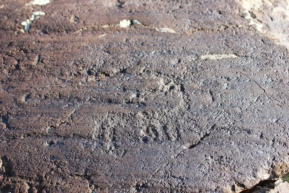 Close-up of a pecked ibex or wild goat on dark volcanic rock at Ughtasar, the lighter stone showing through the patina