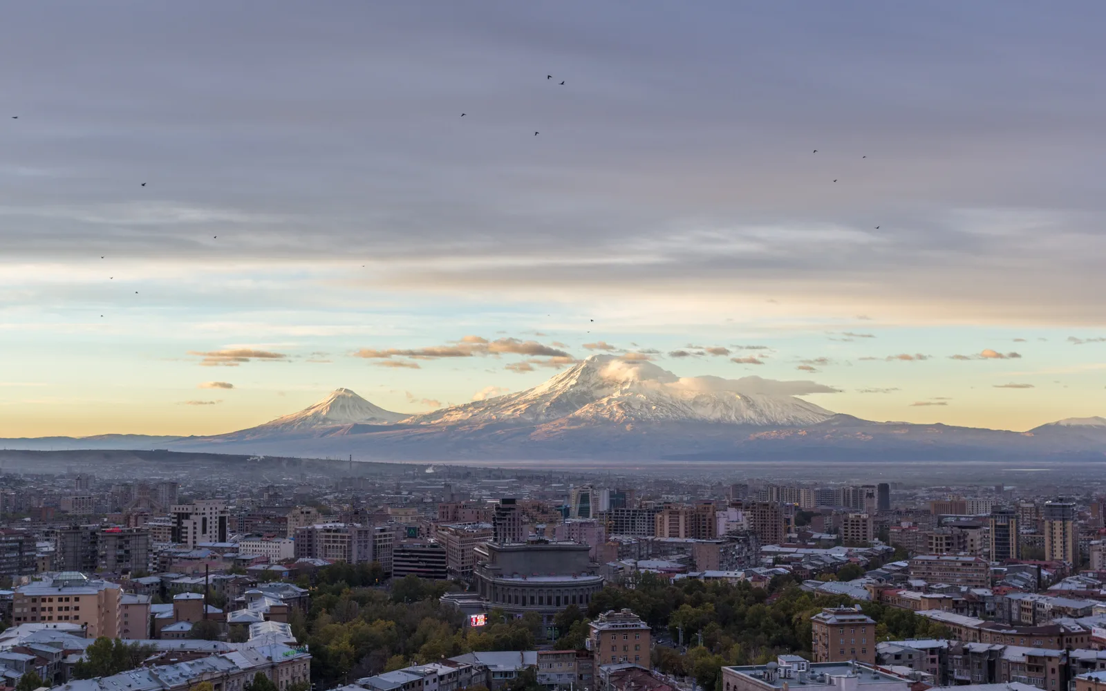 The Yerevan skyline at dawn with low-rise districts spreading out under a pale sky and the double cone of Mount Ararat on the horizon