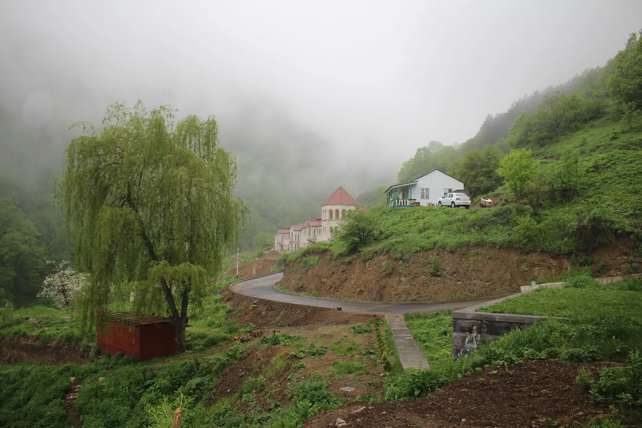 A misty green hillside in Dilijan with a road curving past houses among the trees